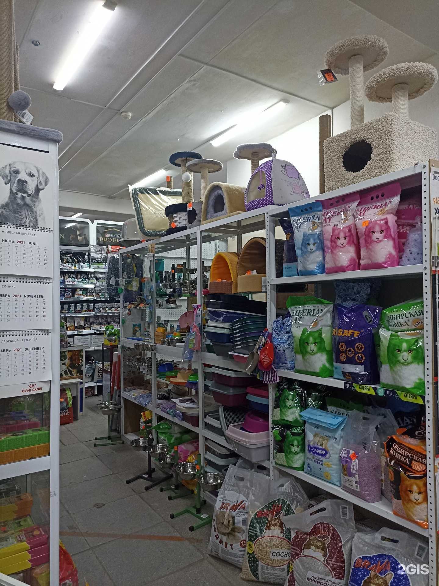 Отзывы на компанию Магазин зоотоваров в г. Сосновоборск c фото