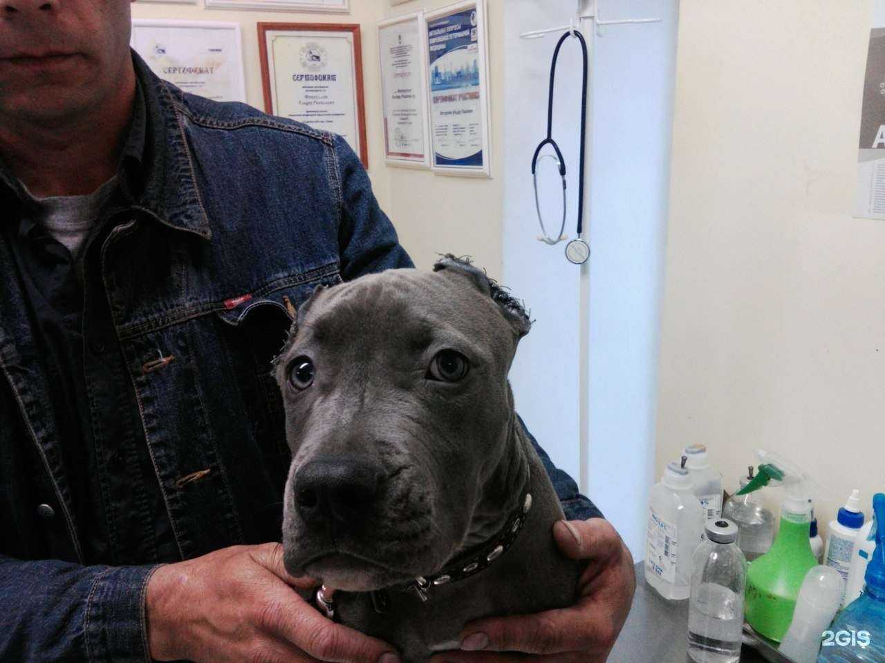 Отзывы на компанию Журавлик в г. Тольятти c фото