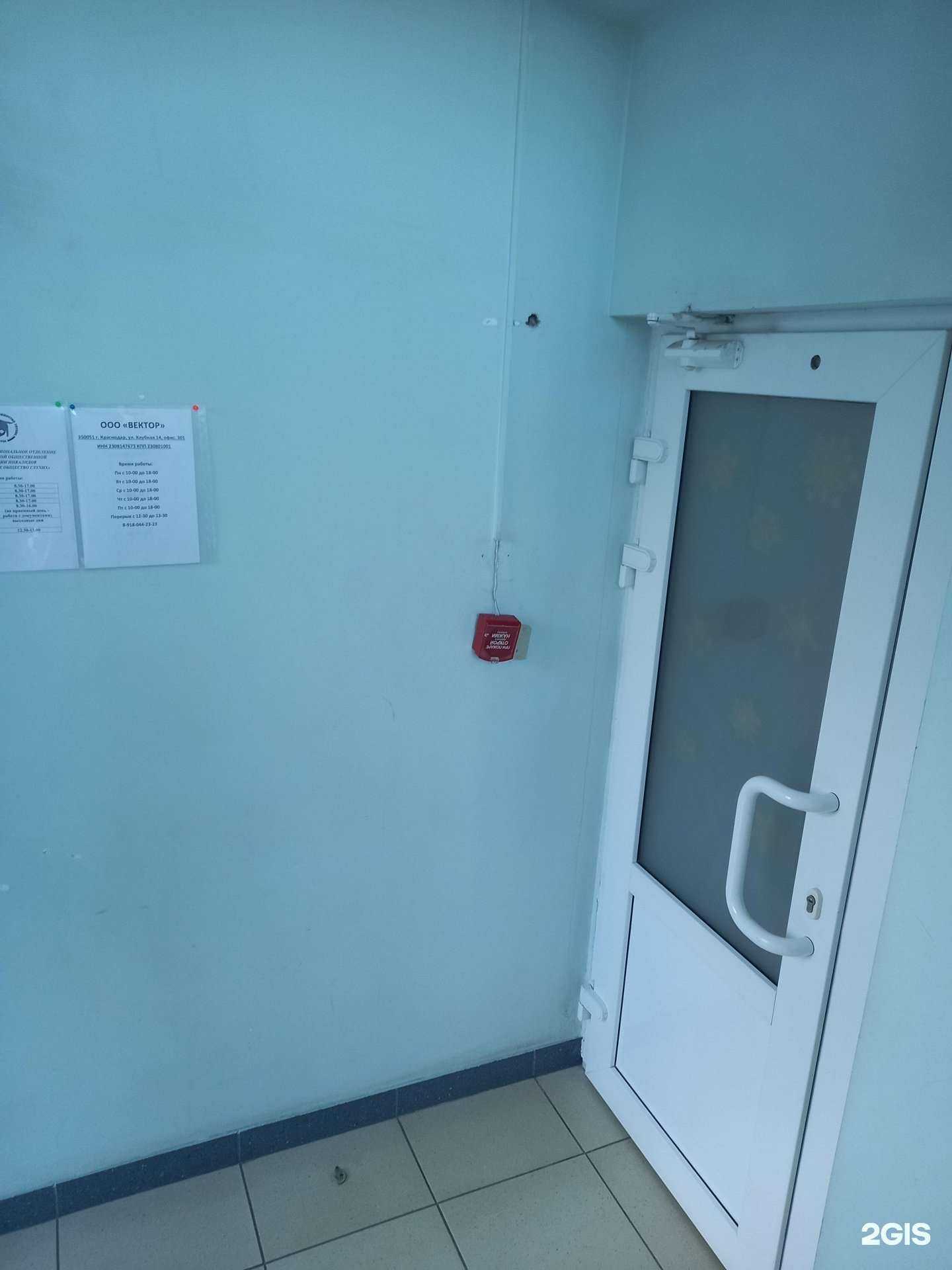 Отзывы на компанию Вектор в Краснодаре c фото