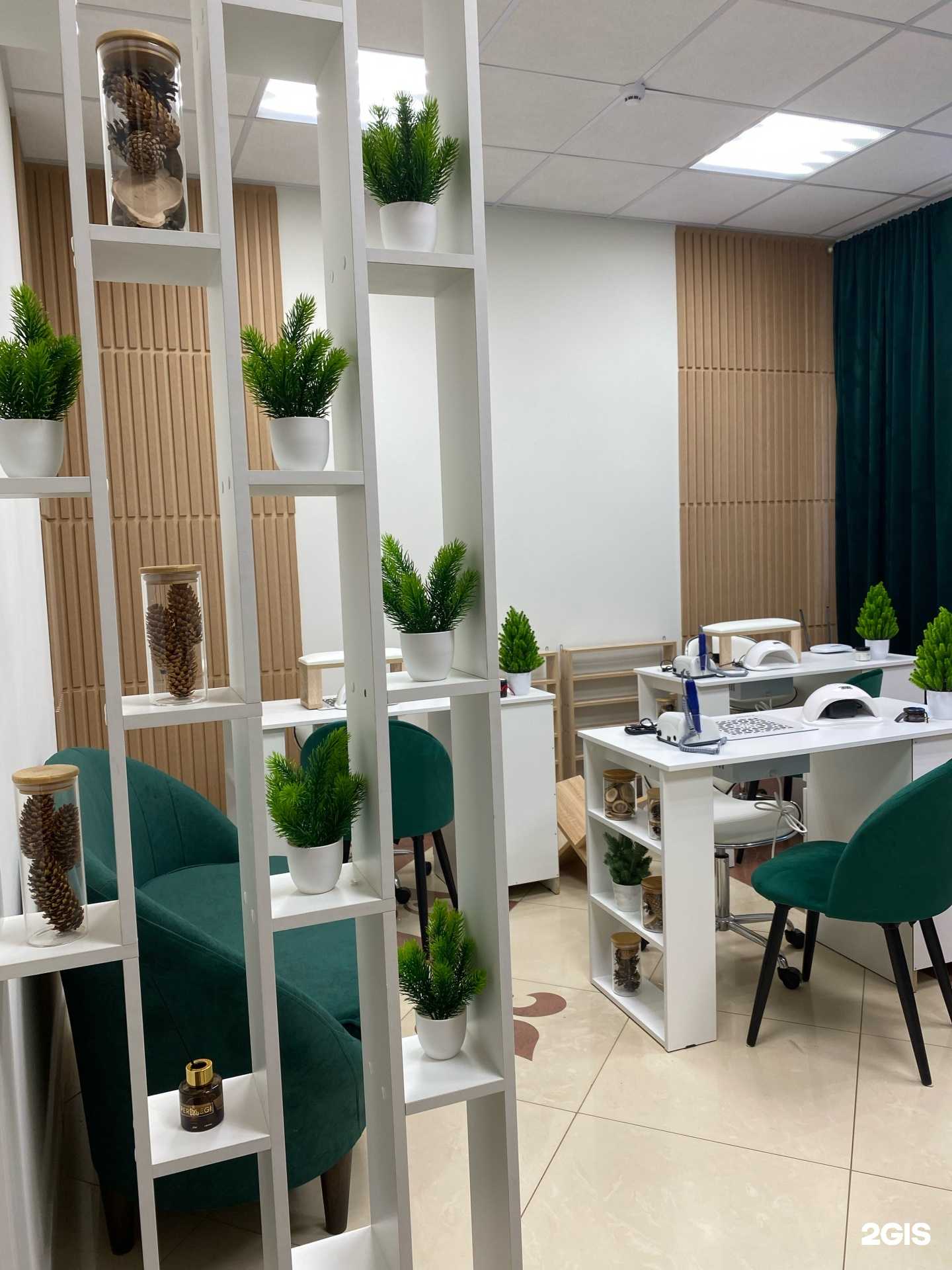 Отзывы на компанию Ель в г. Кострома c фото