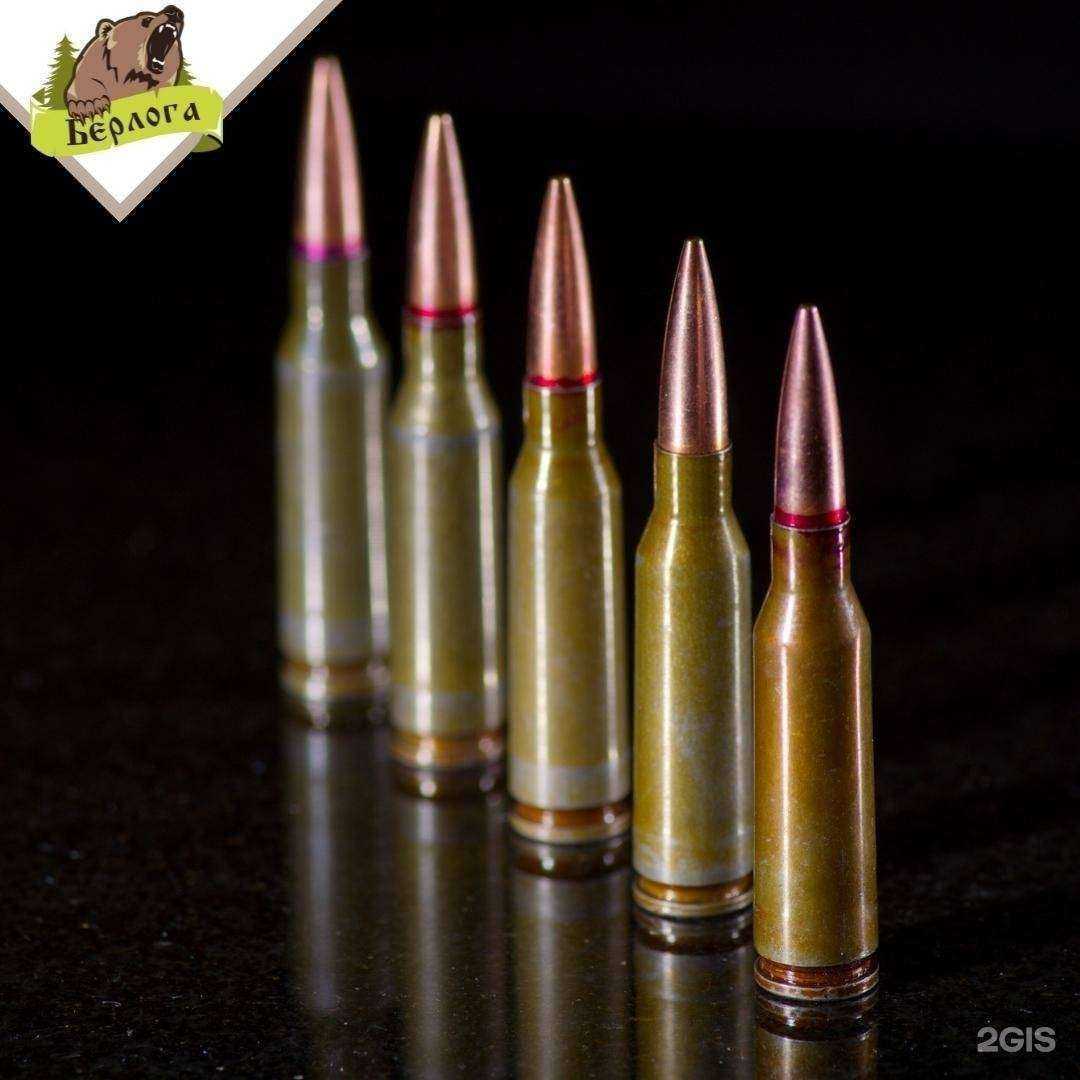 Отзывы на компанию Берлога в г. Лесозаводск c фото