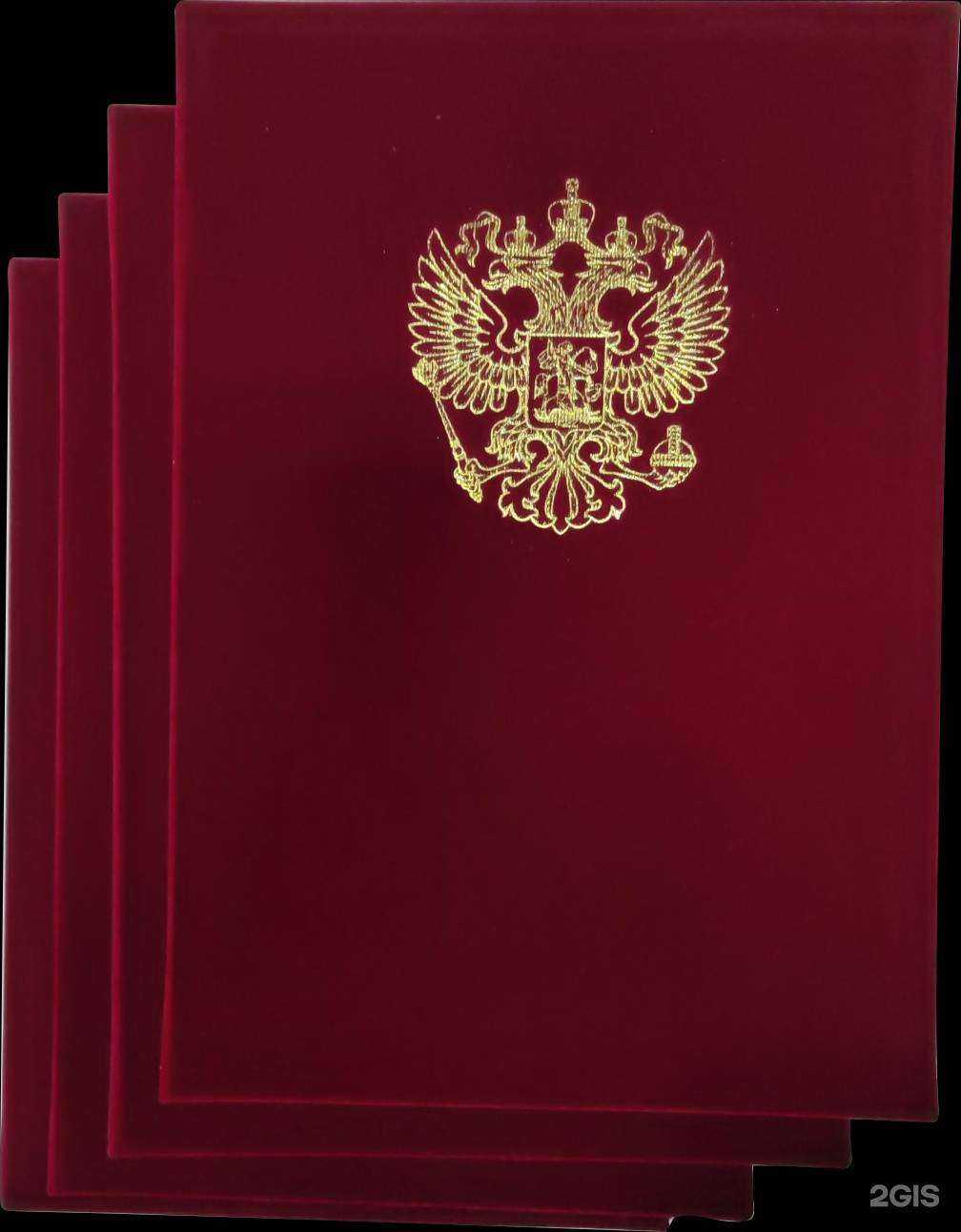 Отзывы на компанию Алиса в г. Владивосток c фото