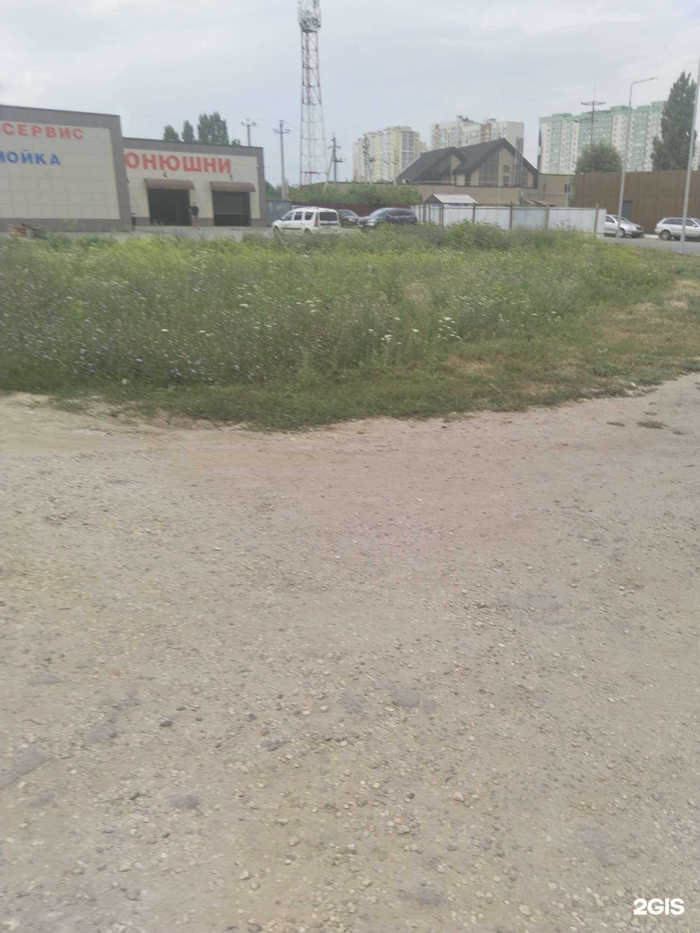 Отзывы на компанию Конюшни в Липецке c фото - фотография 2 из 2