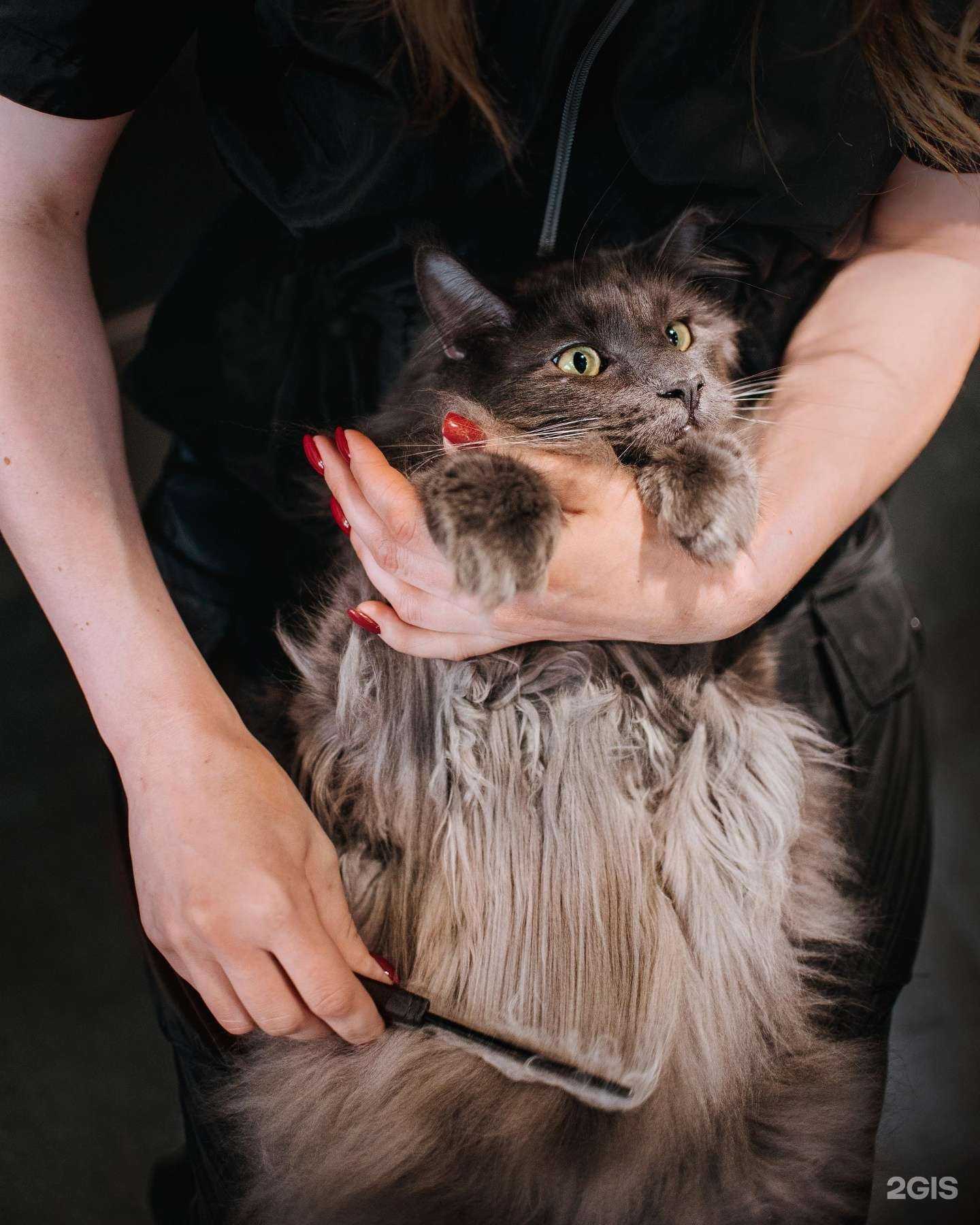 Отзывы на компанию Barberdog в г. Хабаровск c фото