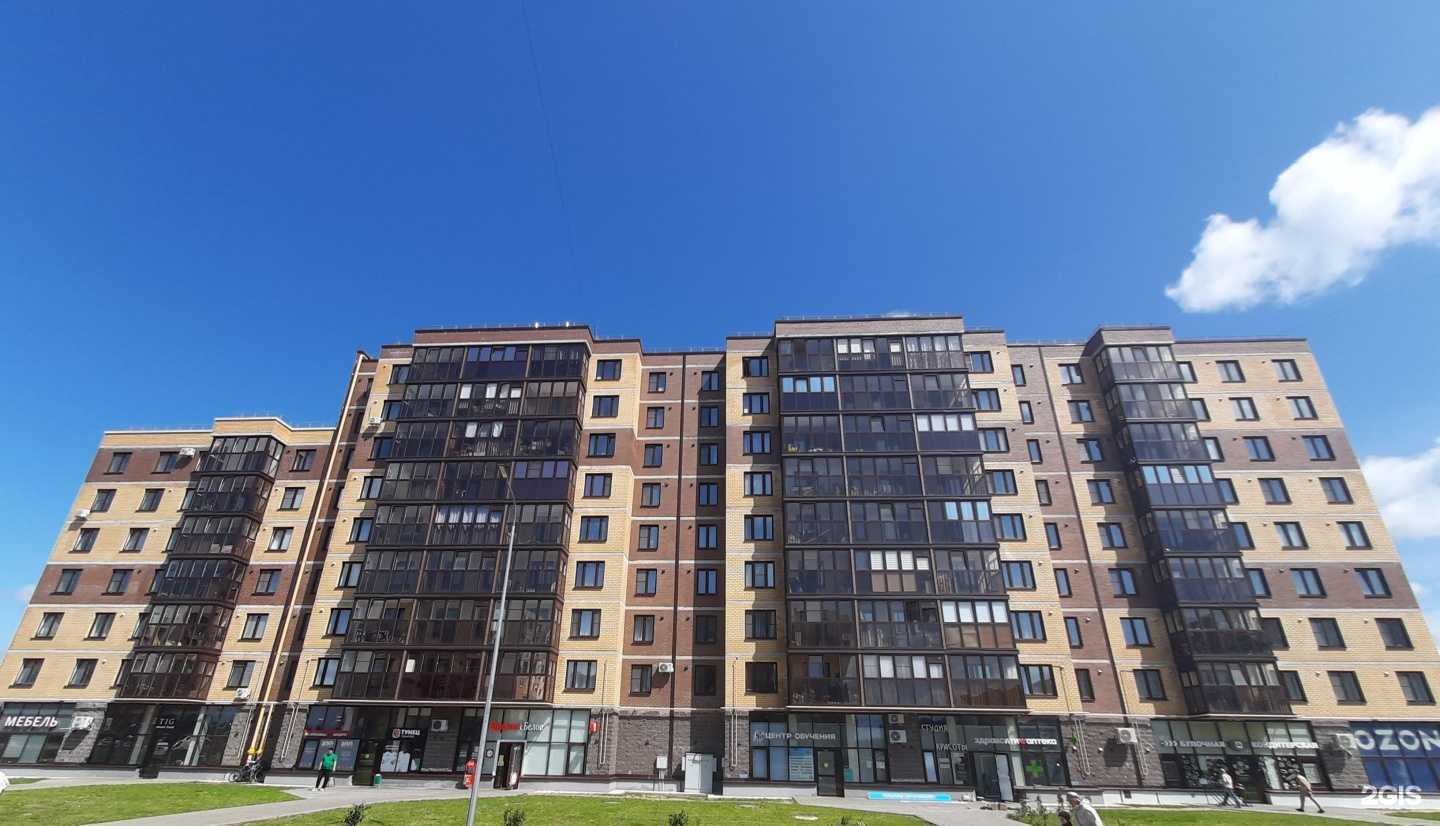 Отзывы на компанию Академия качества в Пскове c фото - фотография 2 из 2