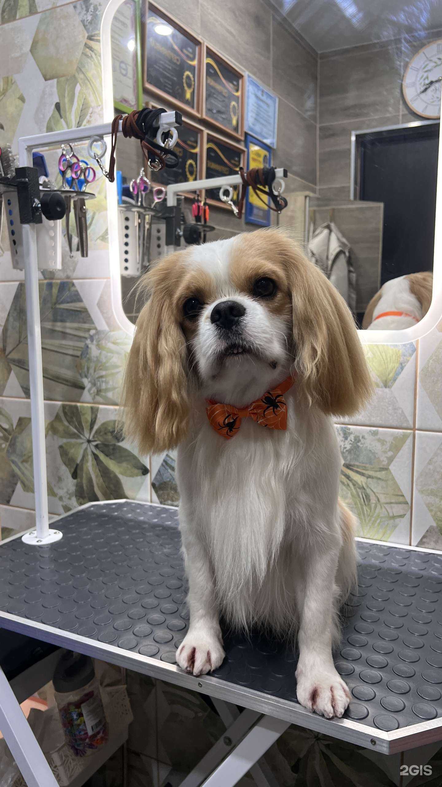 Отзывы на компанию Ольга в Краснодаре c фото