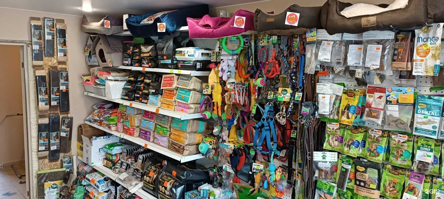 Отзывы на компанию Котёнок Гав в Тамбове c фото