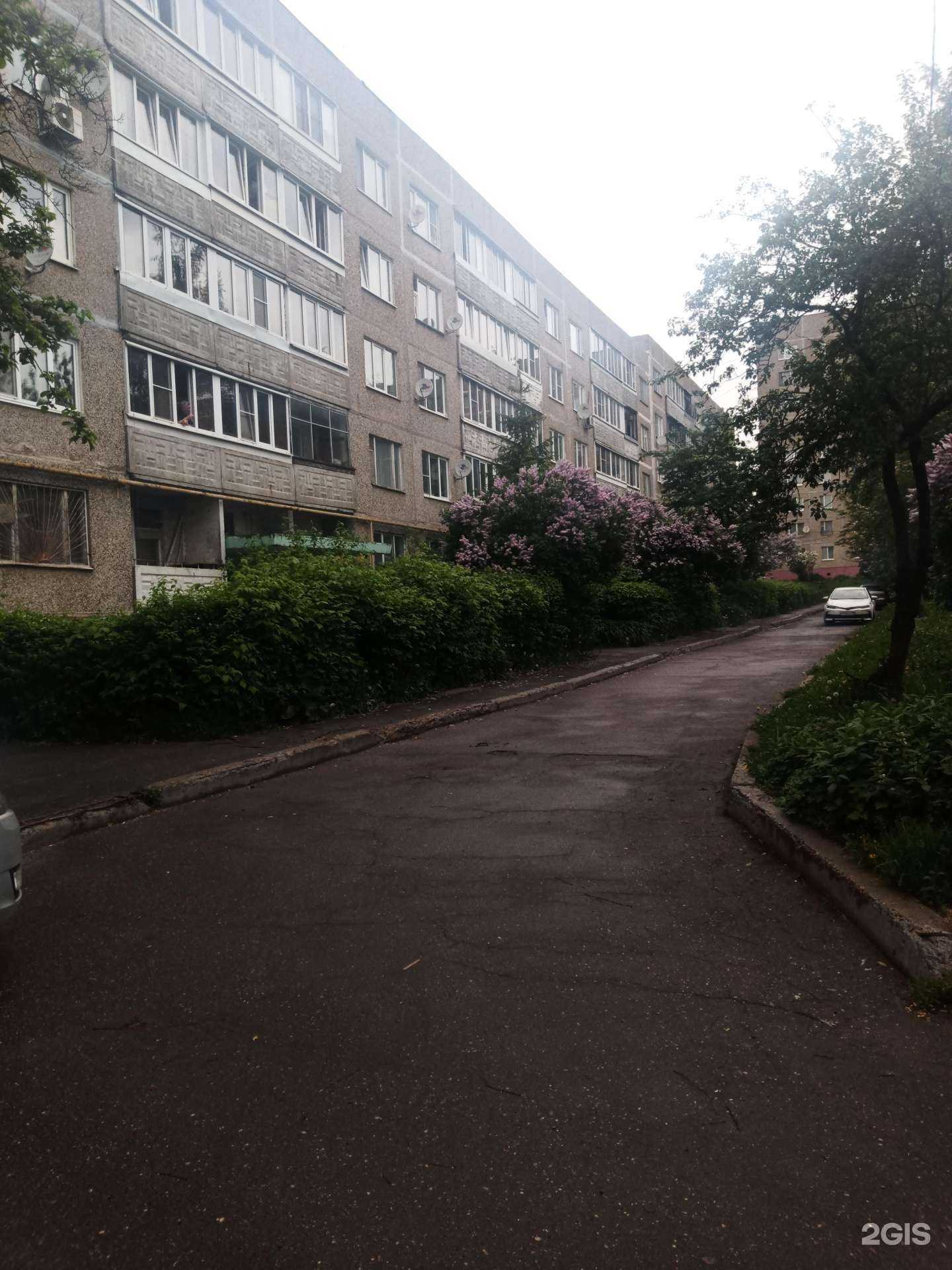 Отзывы на компанию Айсберг в Подольске c фото - фотография 2 из 2