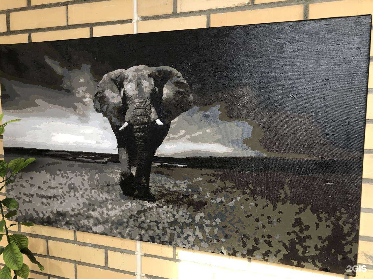 Отзывы на компанию А1 формат в Новосибирске c фото