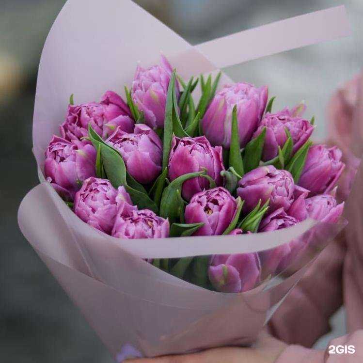 Отзывы на компанию Оазис в г. Таганрог c фото