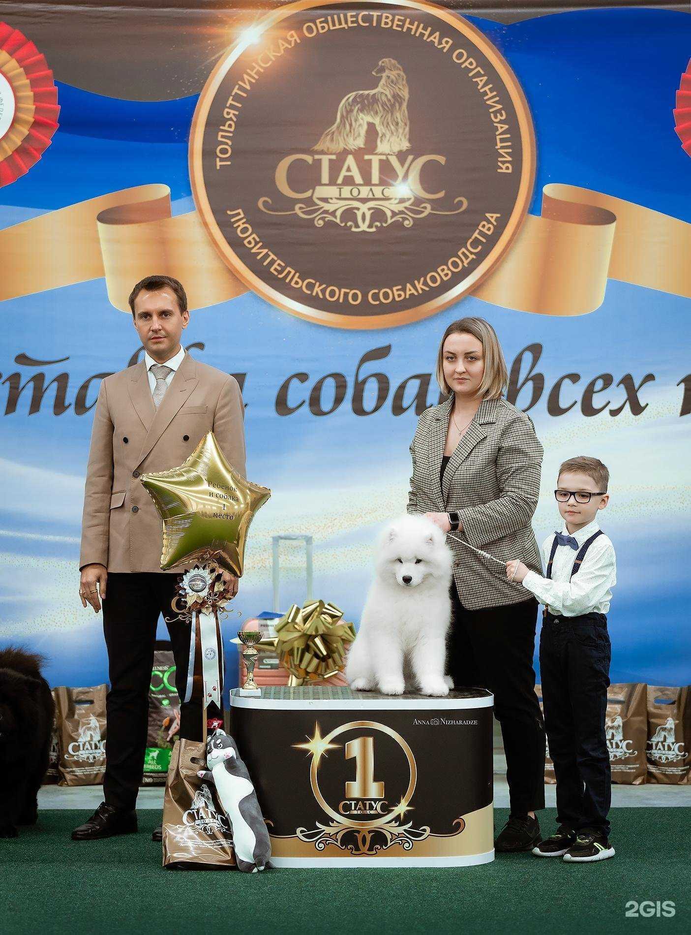 Отзывы на компанию Статус в Тольятти c фото