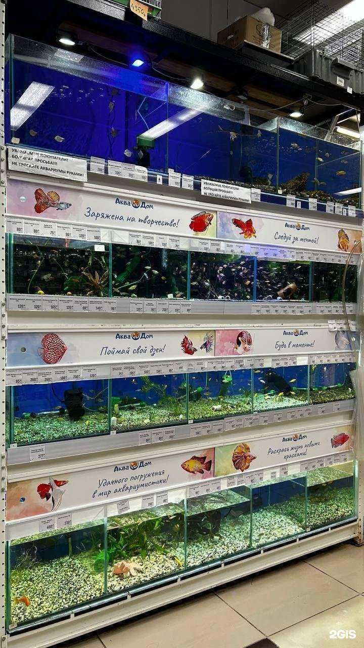 Отзывы на компанию АкваДом в г. Нижнекамск c фото