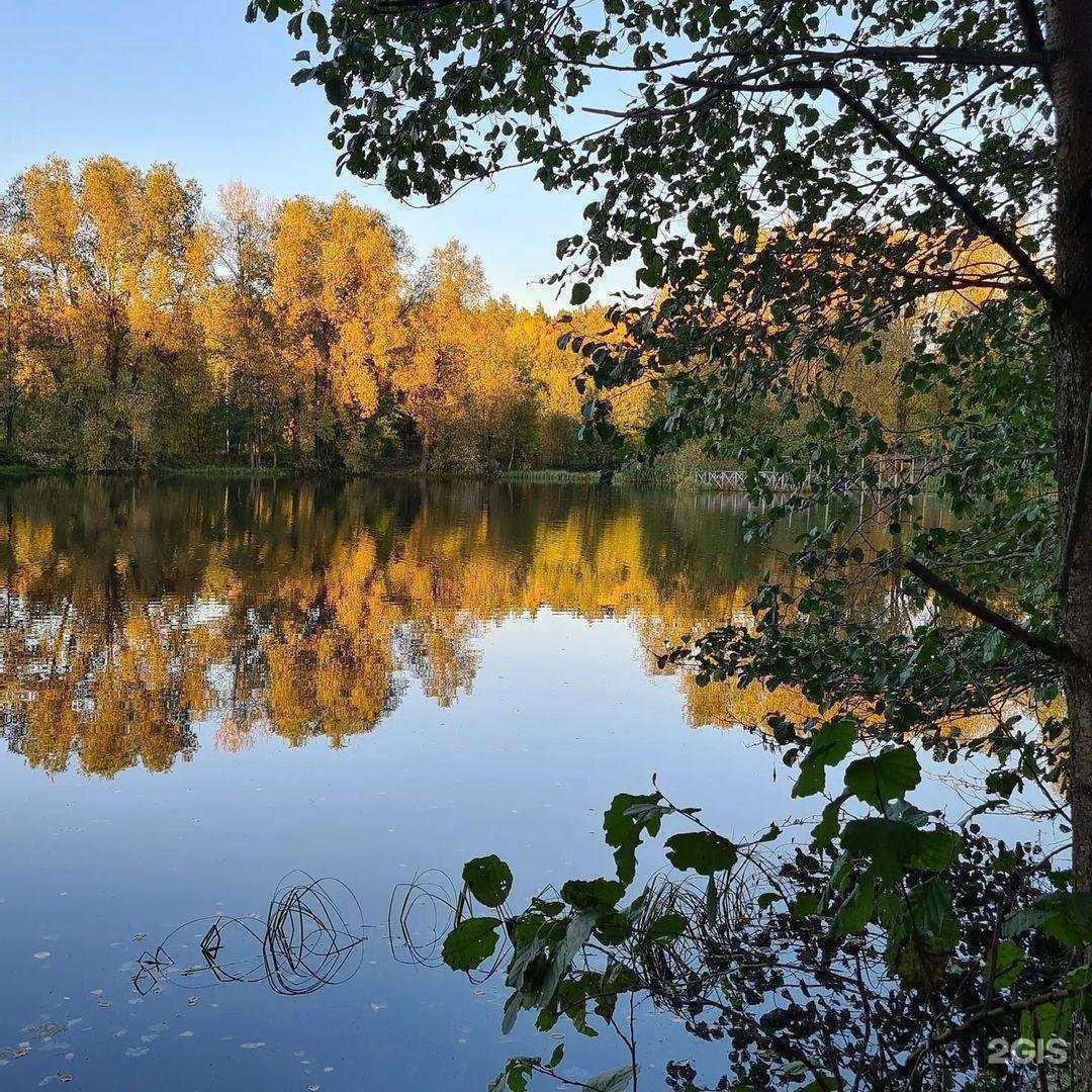 Отзывы на компанию Фотостудия Сергея Павлова в г. Новочебоксарск c фото