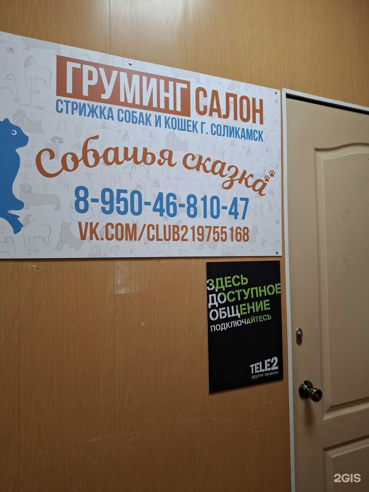 Отзывы на компанию Собачья сказка в г. Соликамск c фото