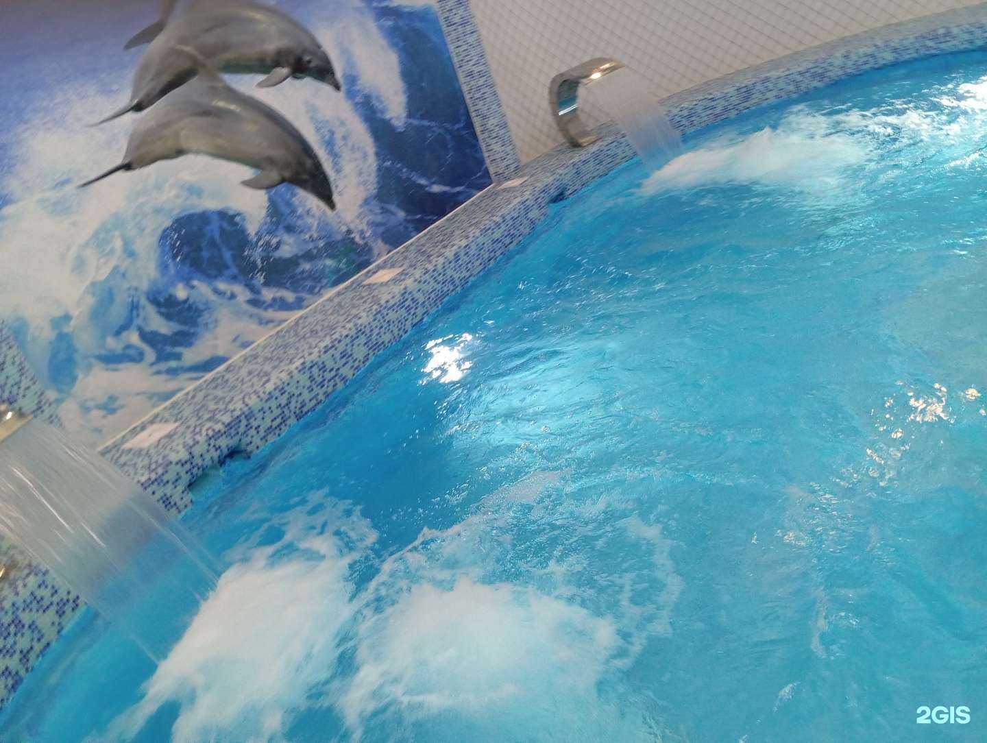 Отзывы на компанию Дриада в Новосибирске c фото - фотография 2 из 2