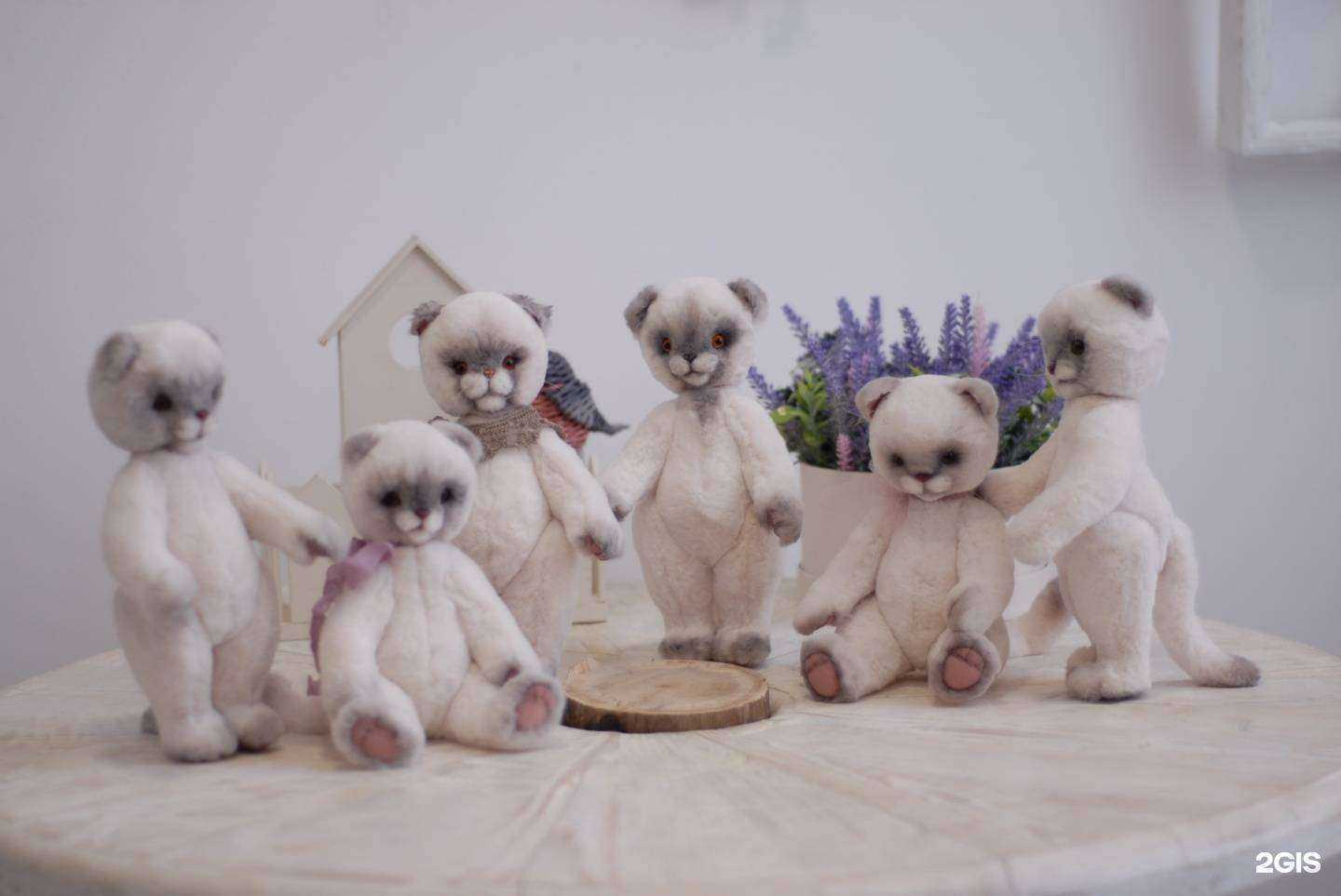 Отзывы на компанию Teddydom в г. Томск c фото