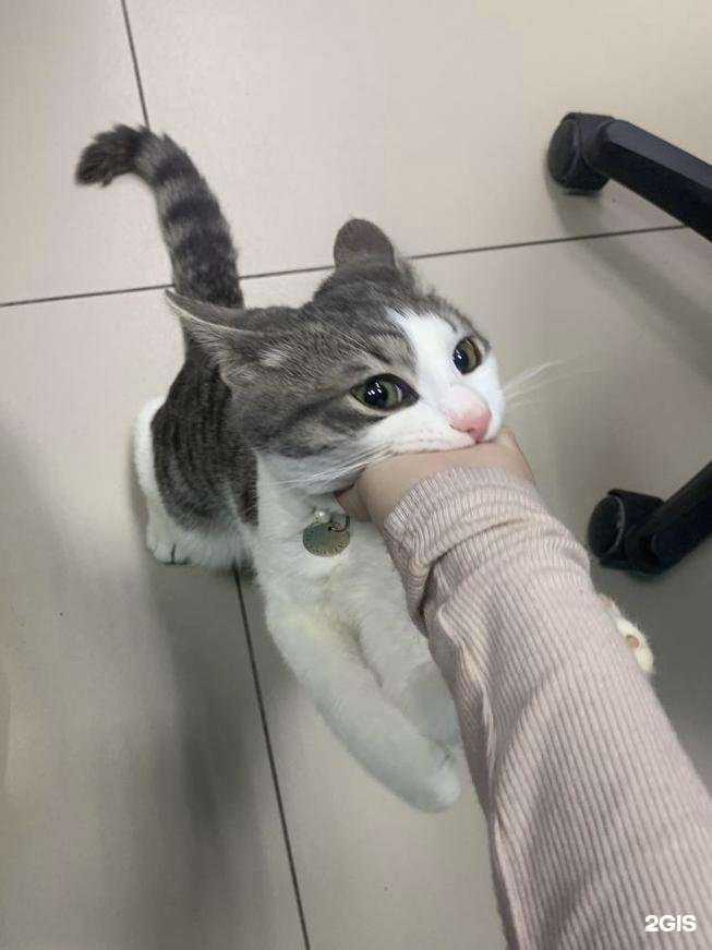 Отзывы на компанию Добрый доктор в Щёлкове c фото