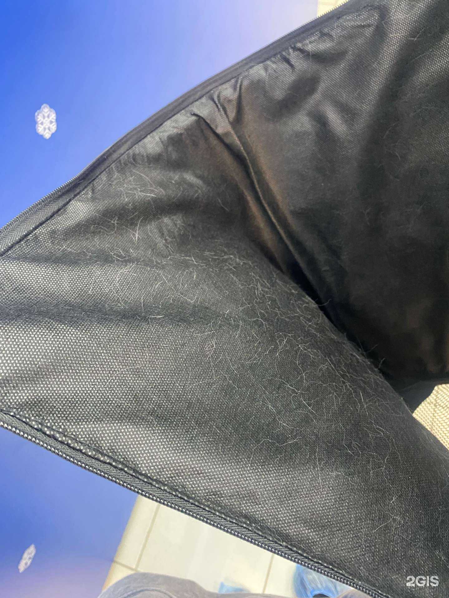 Отзывы на компанию Cats Paradise в г. Челябинск c фото