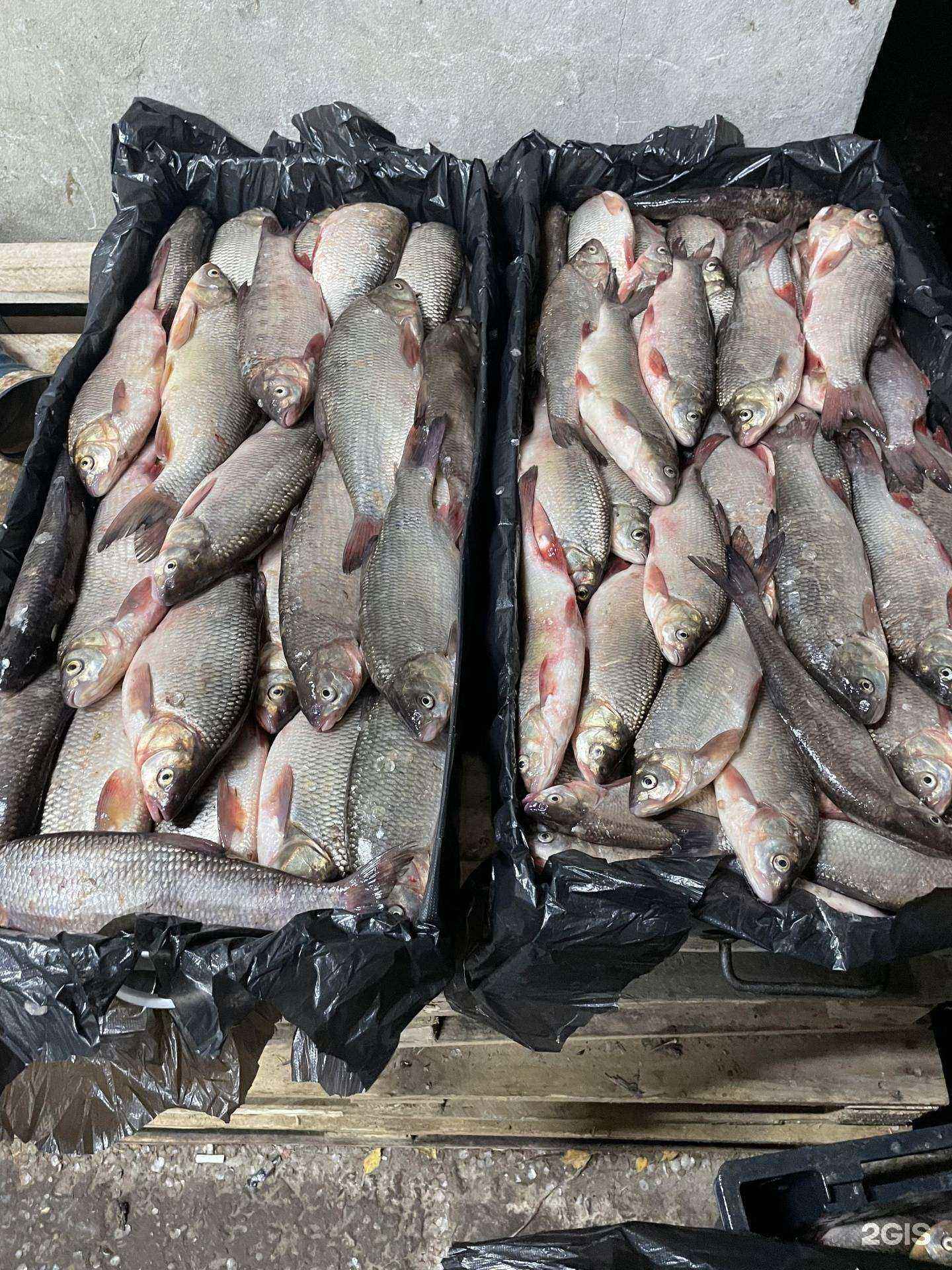 Отзывы на компанию ЮграРыбПром в Сургуте c фото