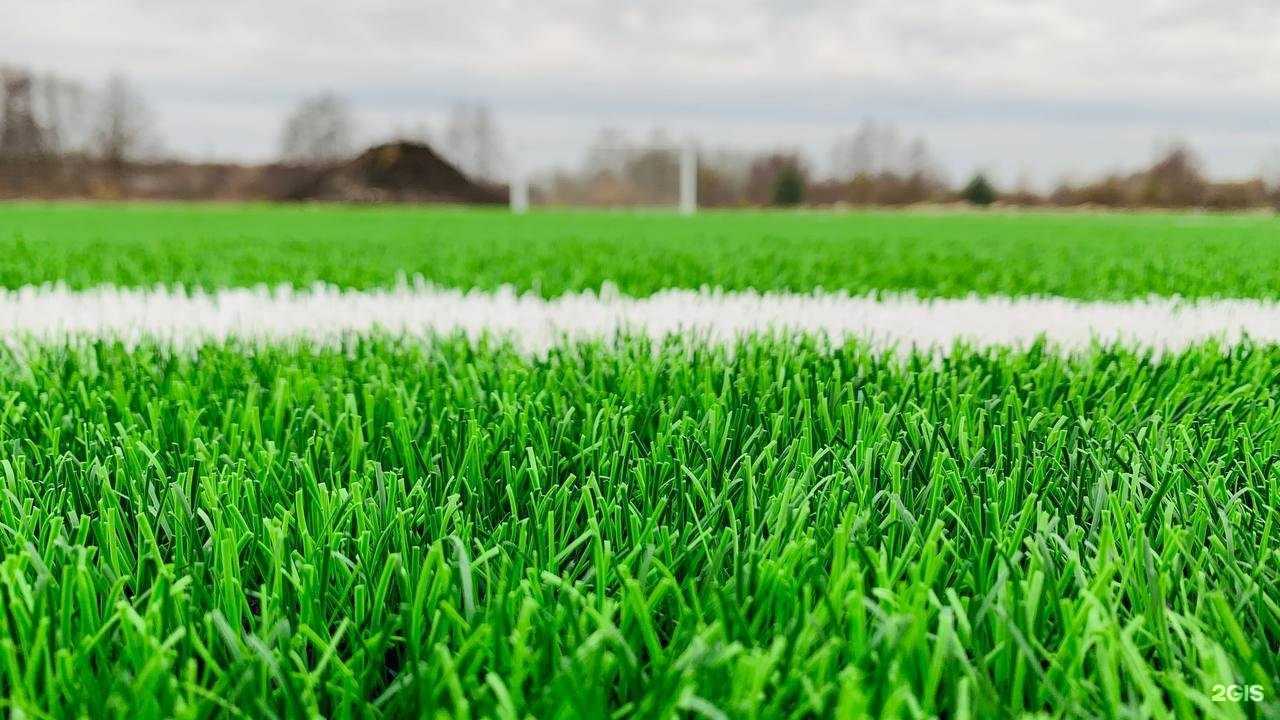 Отзывы на компанию Финт в Курске c фото