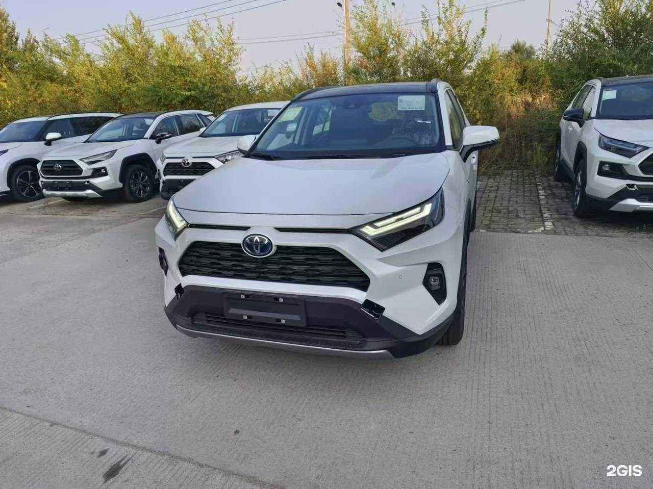 Отзывы на компанию SmartAuto в г. Казань c фото