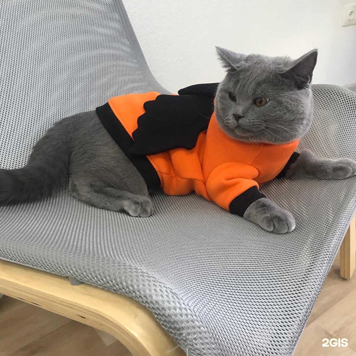 Отзывы на компанию My little bro в г. Кемерово c фото