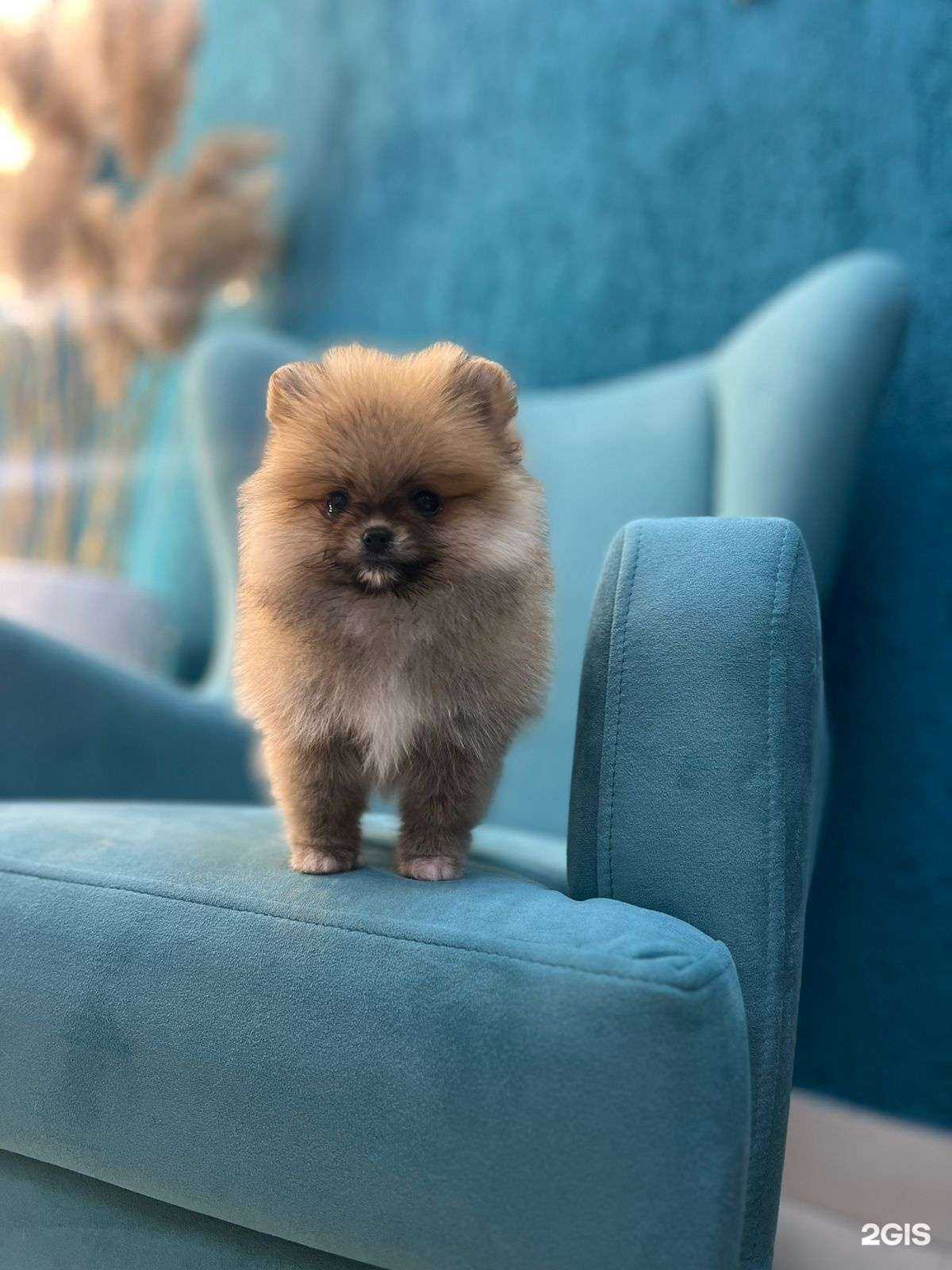 Отзывы на компанию Barri в Липецке c фото