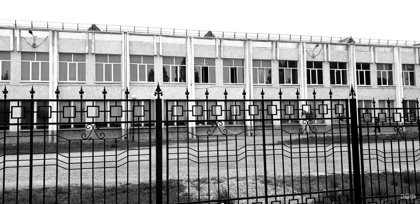 Отзывы на компанию Северо-Кавказский Федеральный университет в Пятигорске c фото