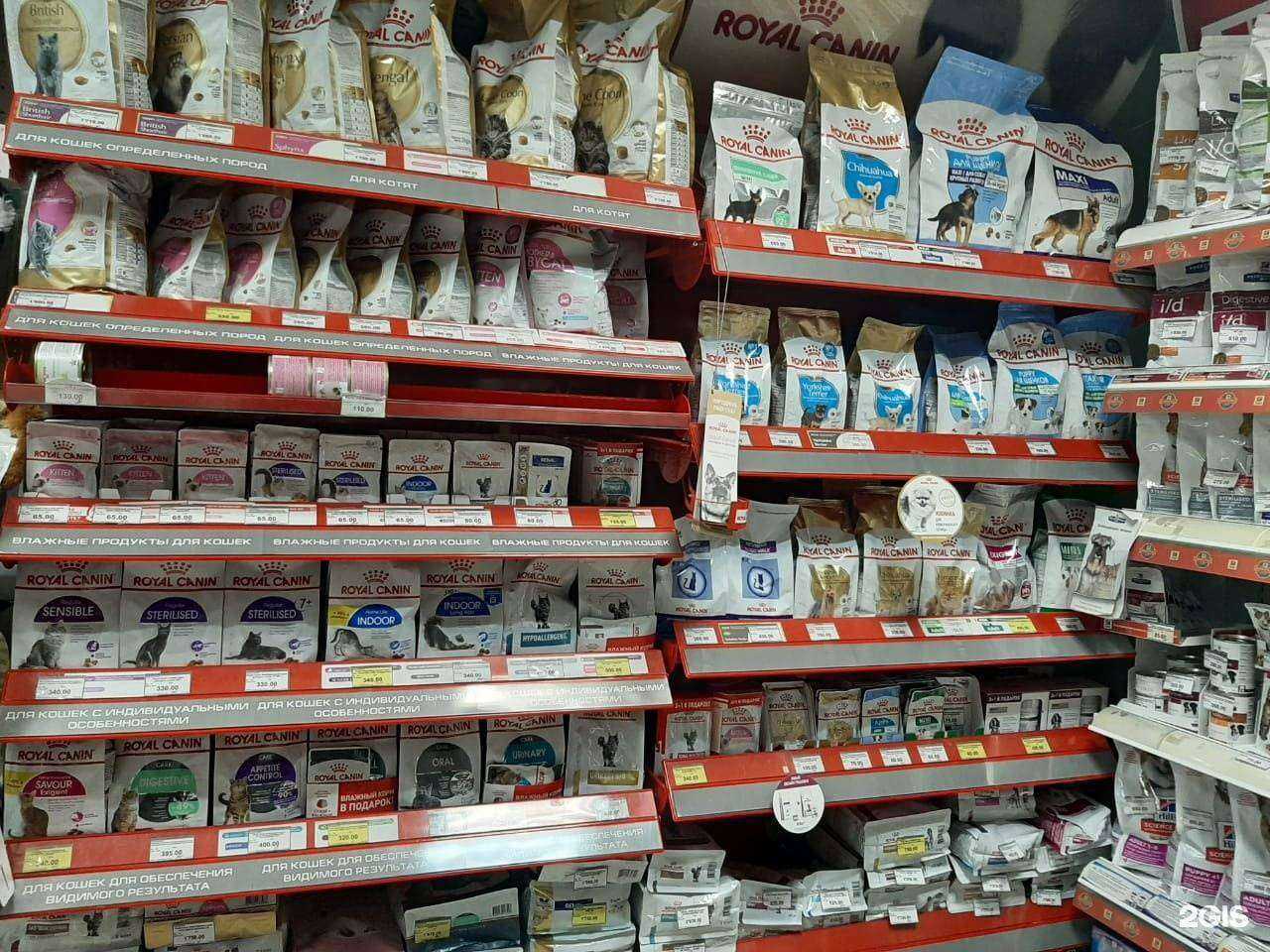 Отзывы на компанию Кот Лео в Краснодаре c фото