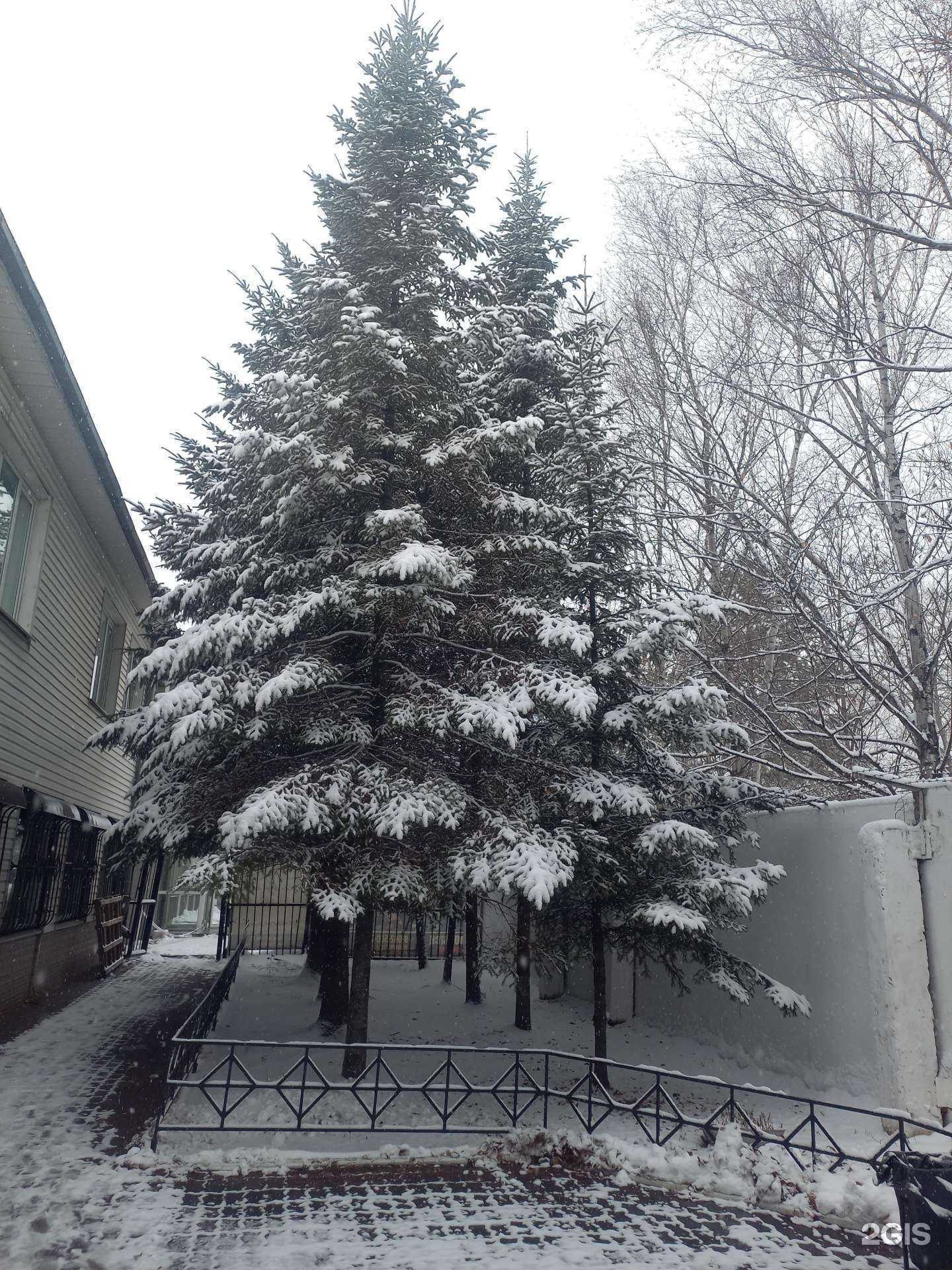 Отзывы на компанию Современные системы безопасности в Хабаровске c фото - фотография 2 из 2