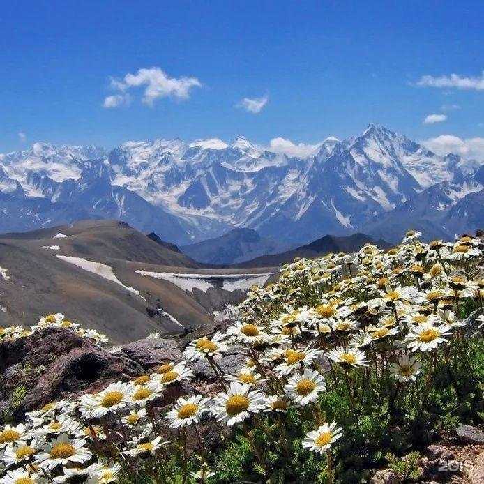 Отзывы на компанию Русские экспедиции в г. Барнаул c фото