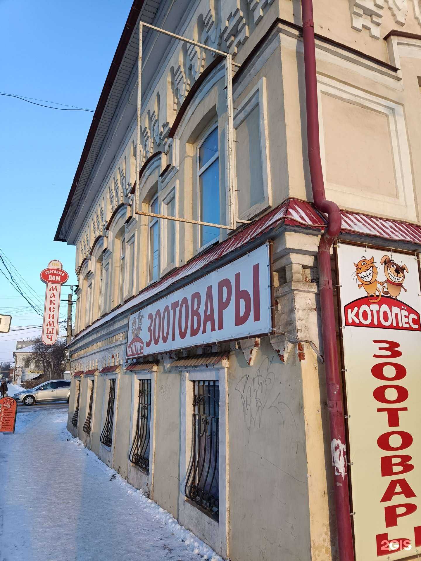 Отзывы на компанию КотоПёс в Кунгуре c фото - фотография 2 из 2