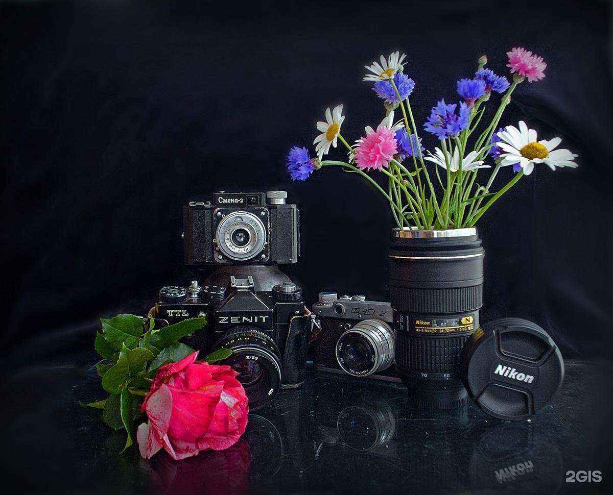 Отзывы на компанию МагЦветок.рф в Магнитогорске c фото