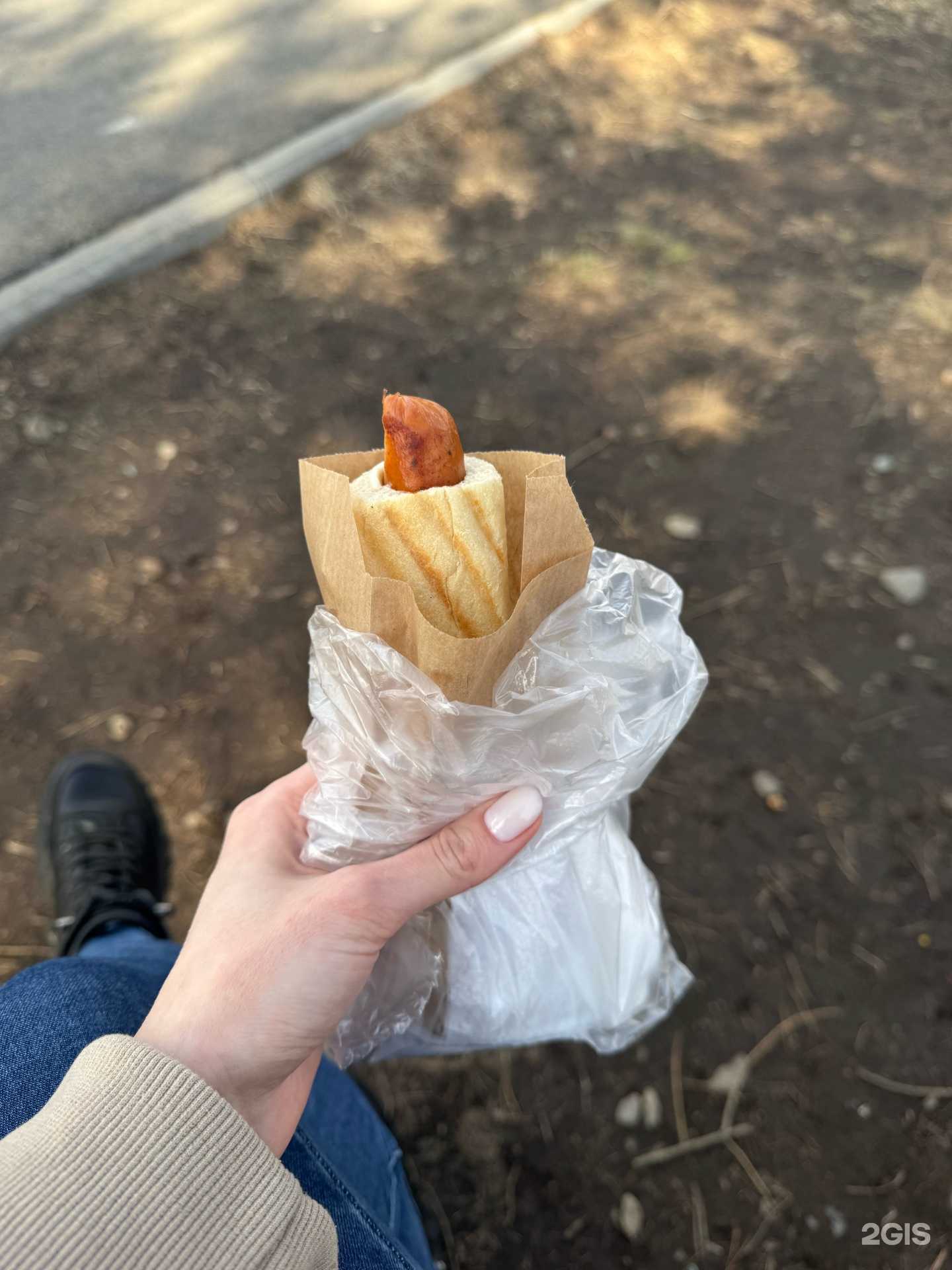 Отзывы на компанию Best dogs в Елизове c фото