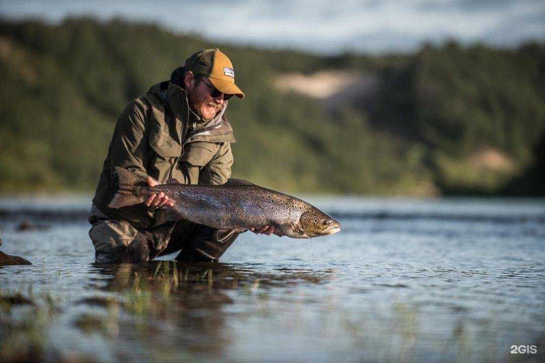 Отзывы на компанию Аврора Тур в г. Мурманск c фото