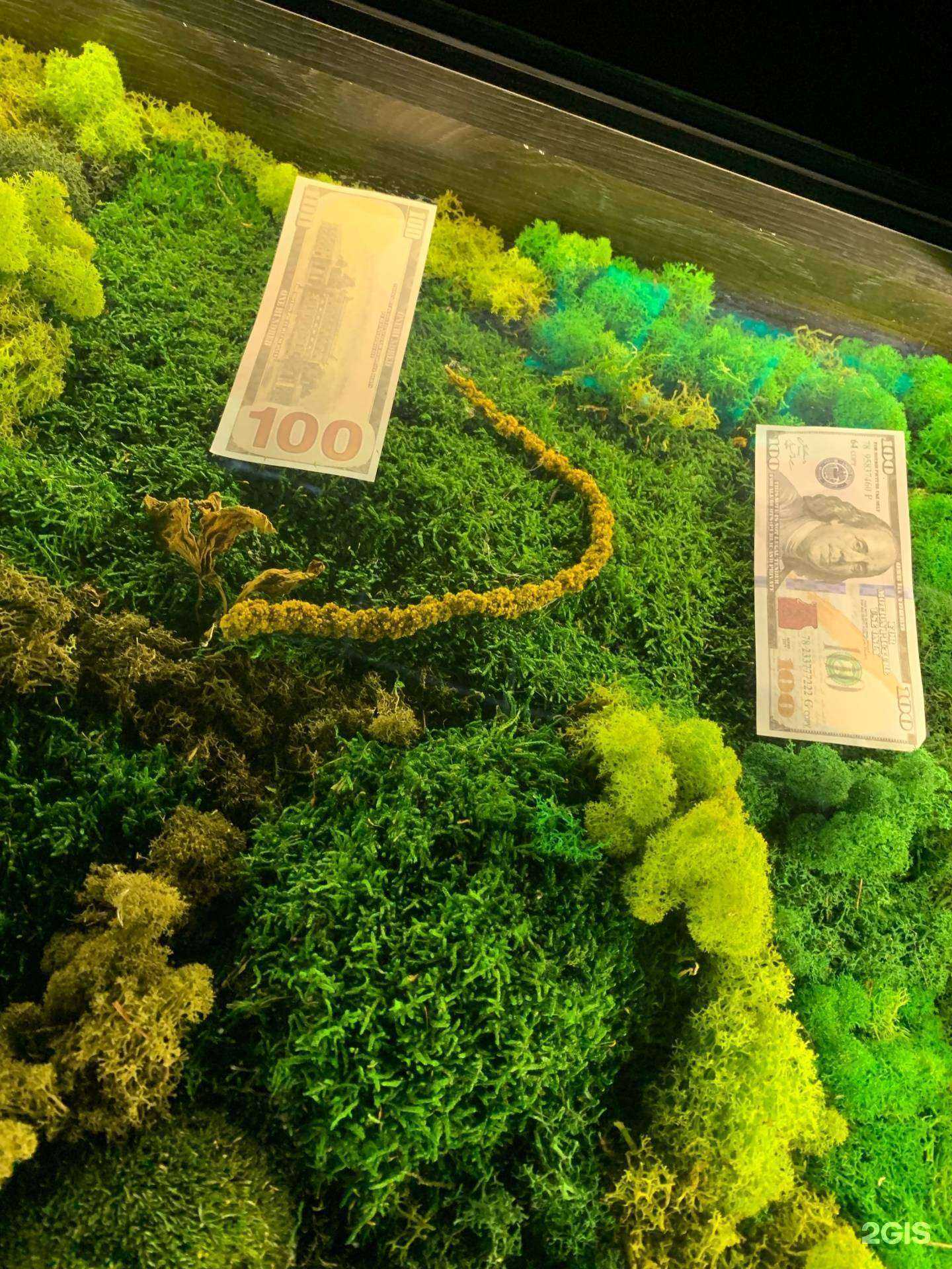 Отзывы на компанию Fresh в Саяногорске c фото