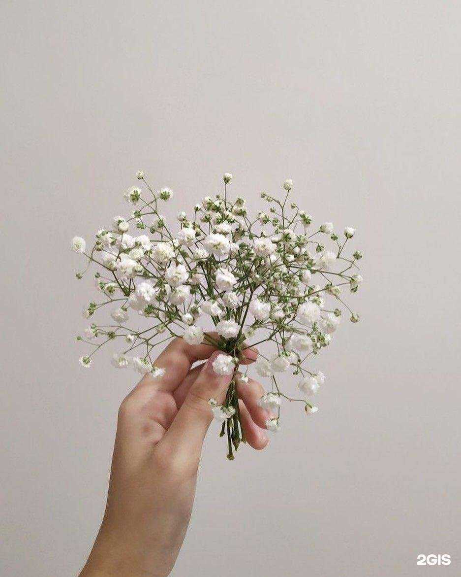 Отзывы на компанию Home comfort в г. Грозный c фото