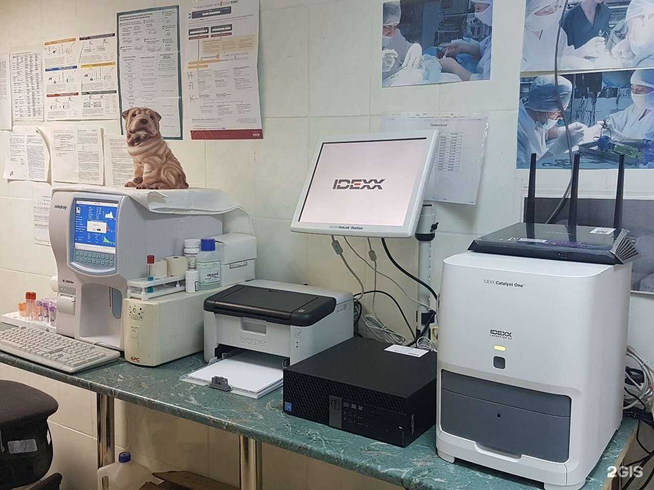 Отзывы на компанию Умка в Набережных Челнах c фото