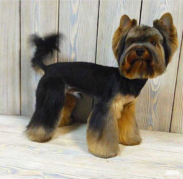 Отзывы на компанию GROOM в Екатеринбурге c фото