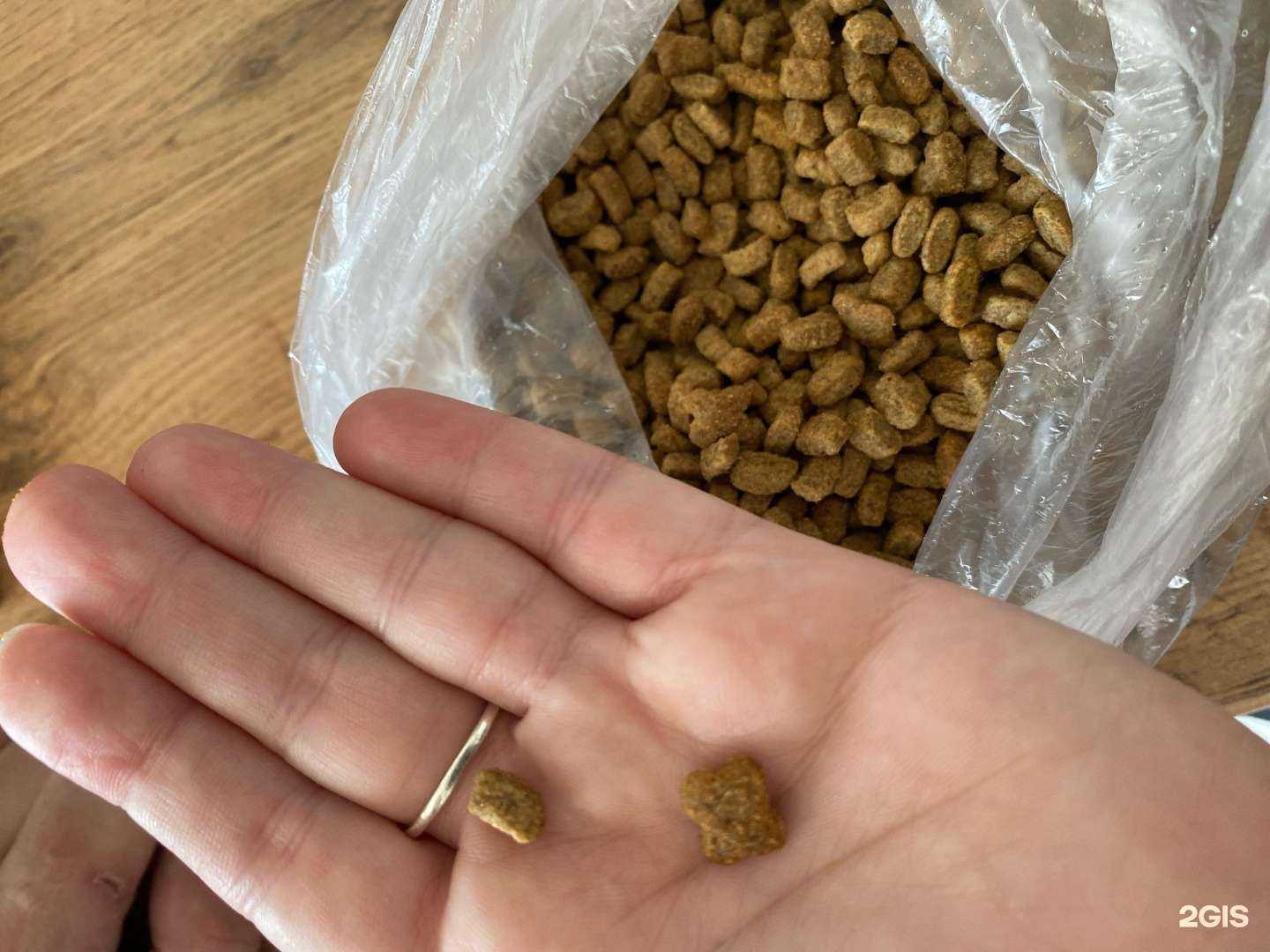 Отзывы на компанию Гарфилд в г. Салават c фото