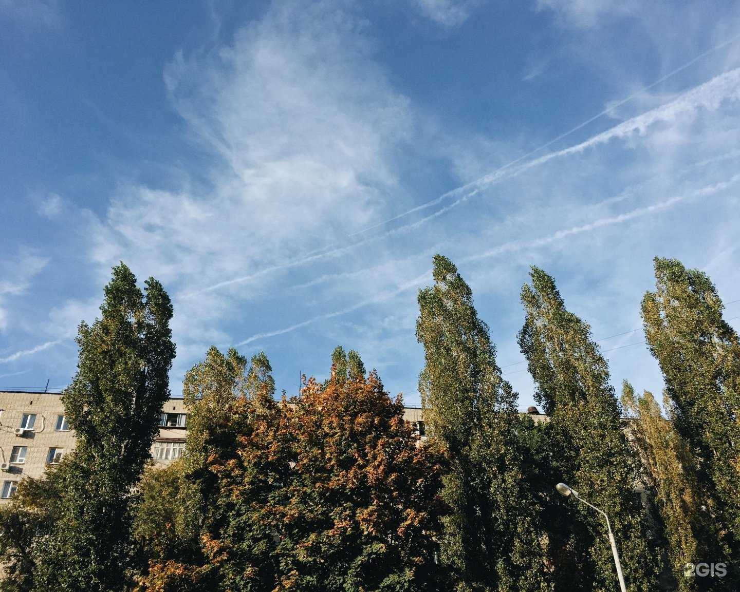 Отзывы на компанию Слав-сервис в Воронеже c фото - фотография 2 из 2