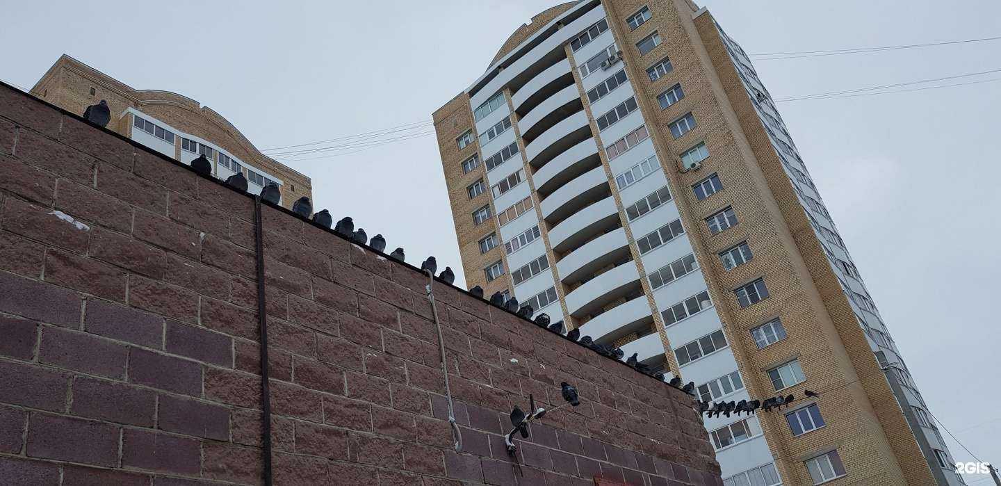 Отзывы на компанию Сто пудов в Магнитогорске c фото - фотография 2 из 2