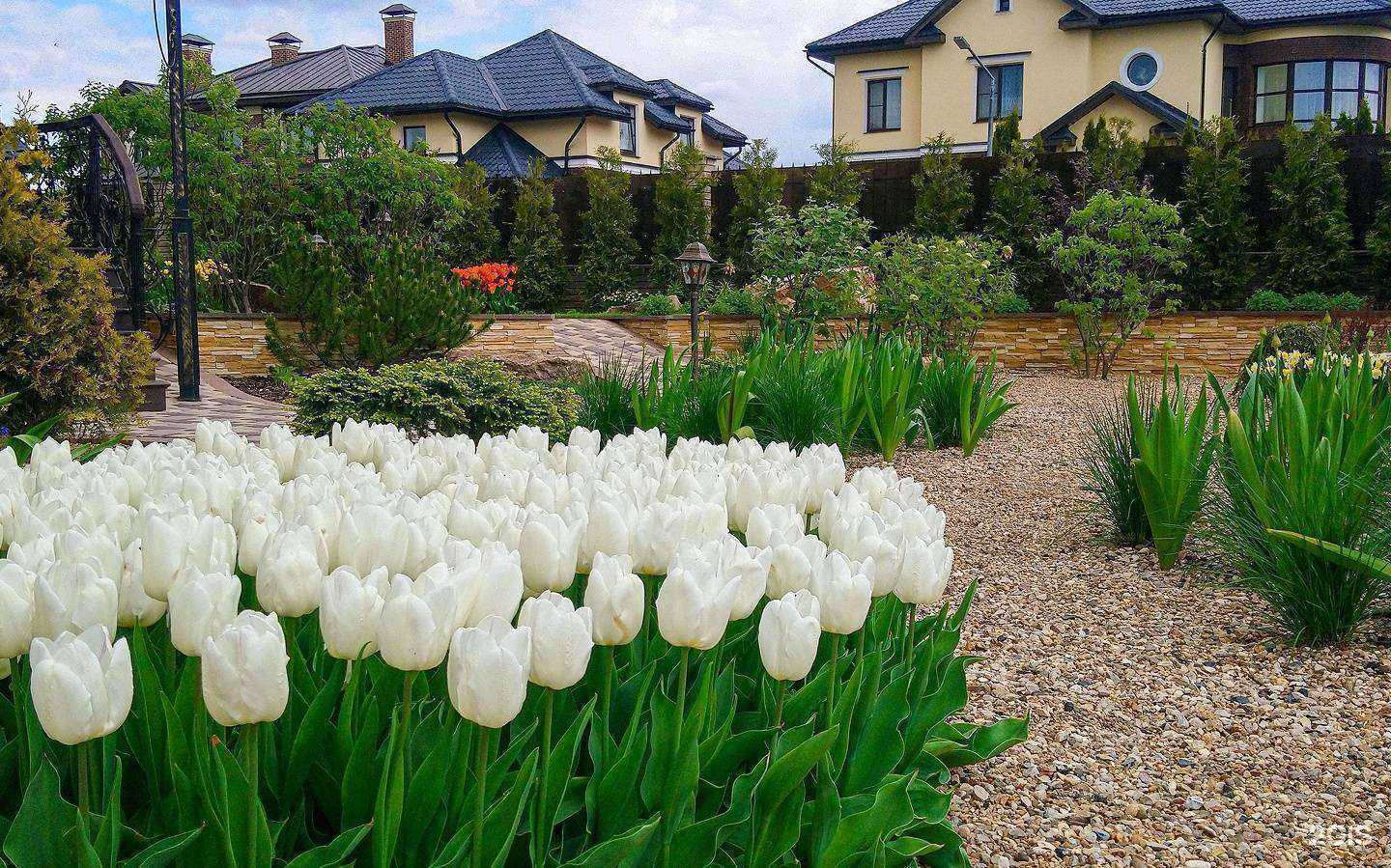 Отзывы на компанию Фирмель в Пушкине c фото