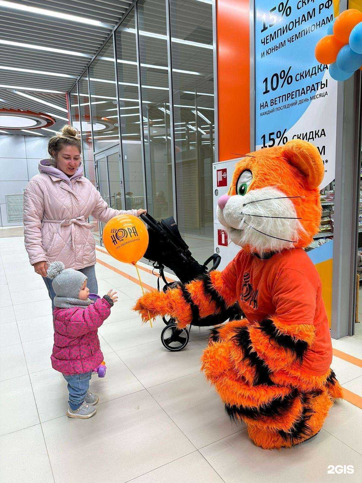 Отзывы на компанию Нора в Воронеже c фото