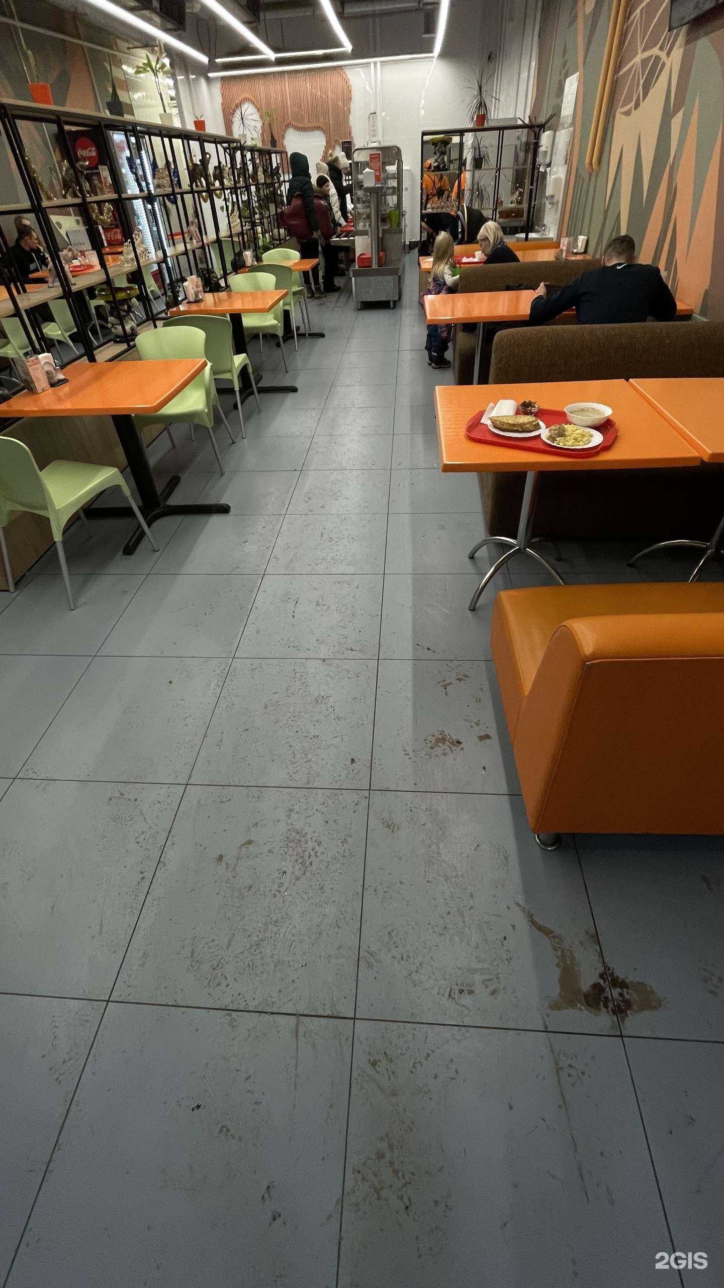 Отзывы на компанию Съем слона в Красноярске c фото