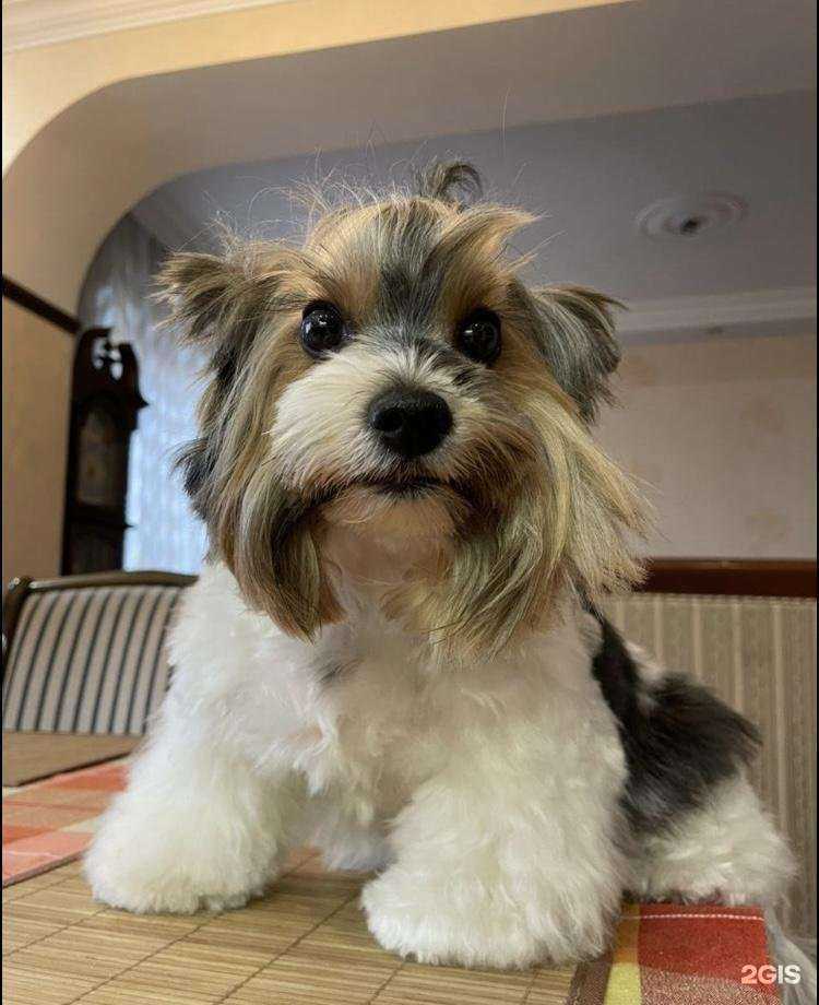 Отзывы на компанию Кис в Бердске c фото