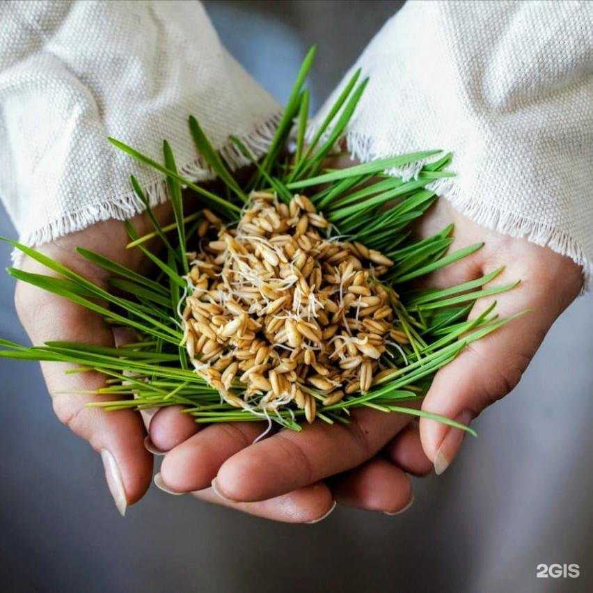 Отзывы на компанию Фермерские угодья в г. Сургут c фото