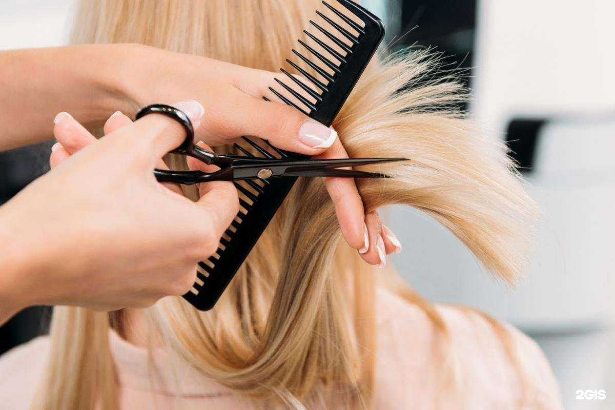 Отзывы на компанию Светлана в Нижнем Новгороде c фото