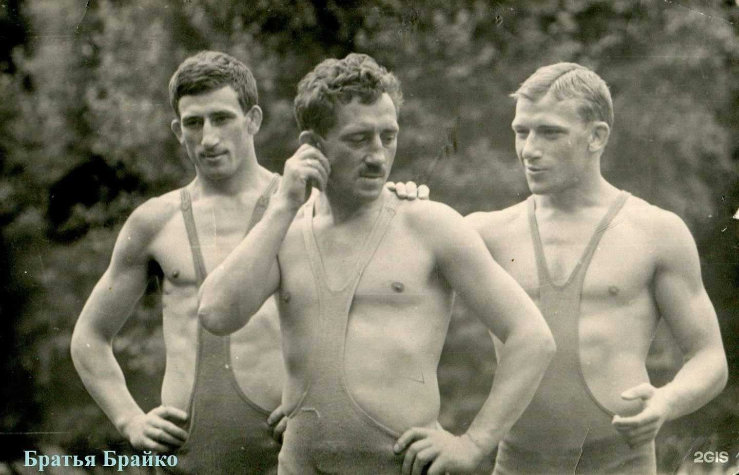 Отзывы на компанию Академия спортивной борьбы им. братьев Брайко в г. Кемерово c фото