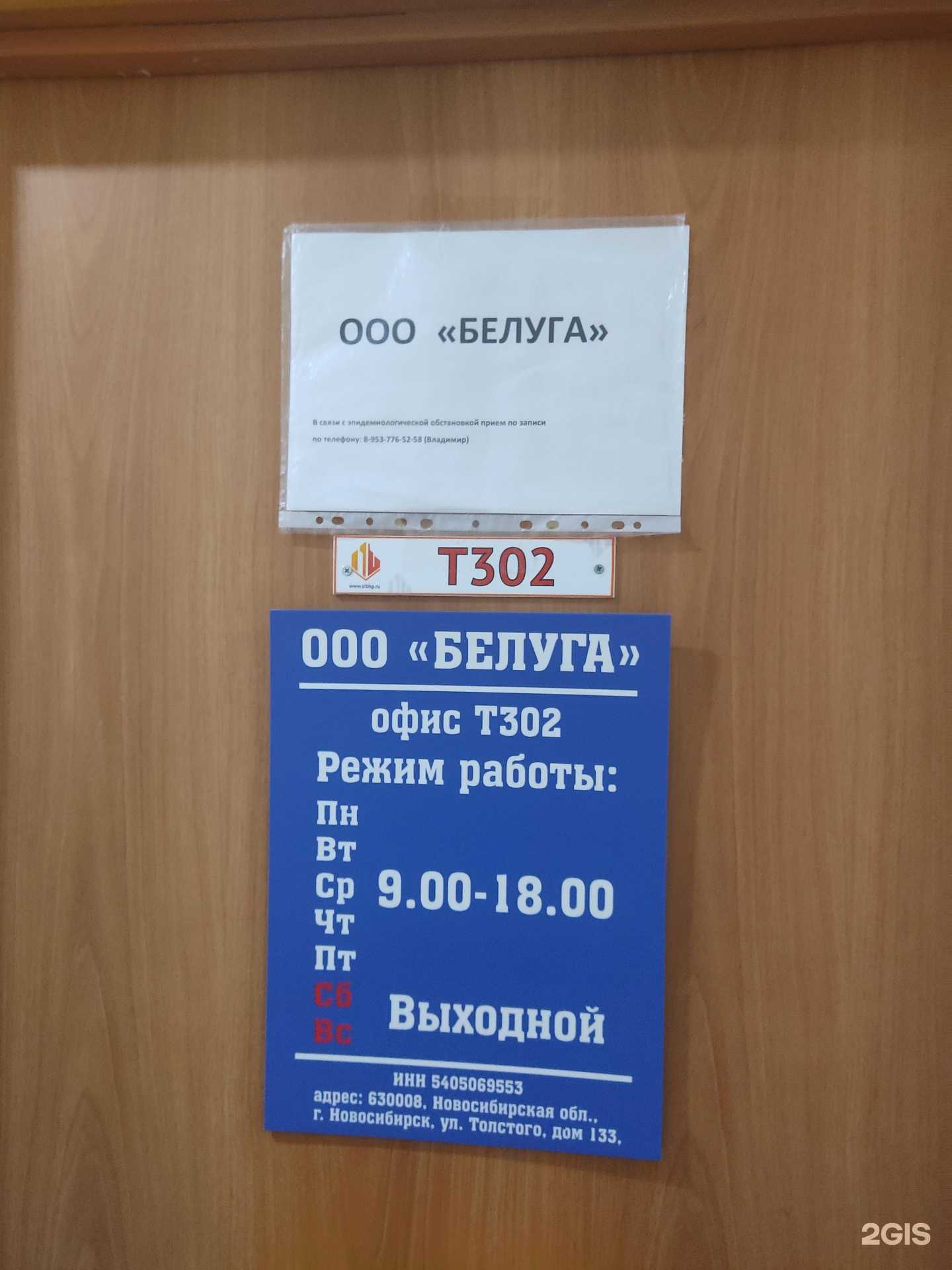 Отзывы на компанию Белуга в Новосибирске c фото